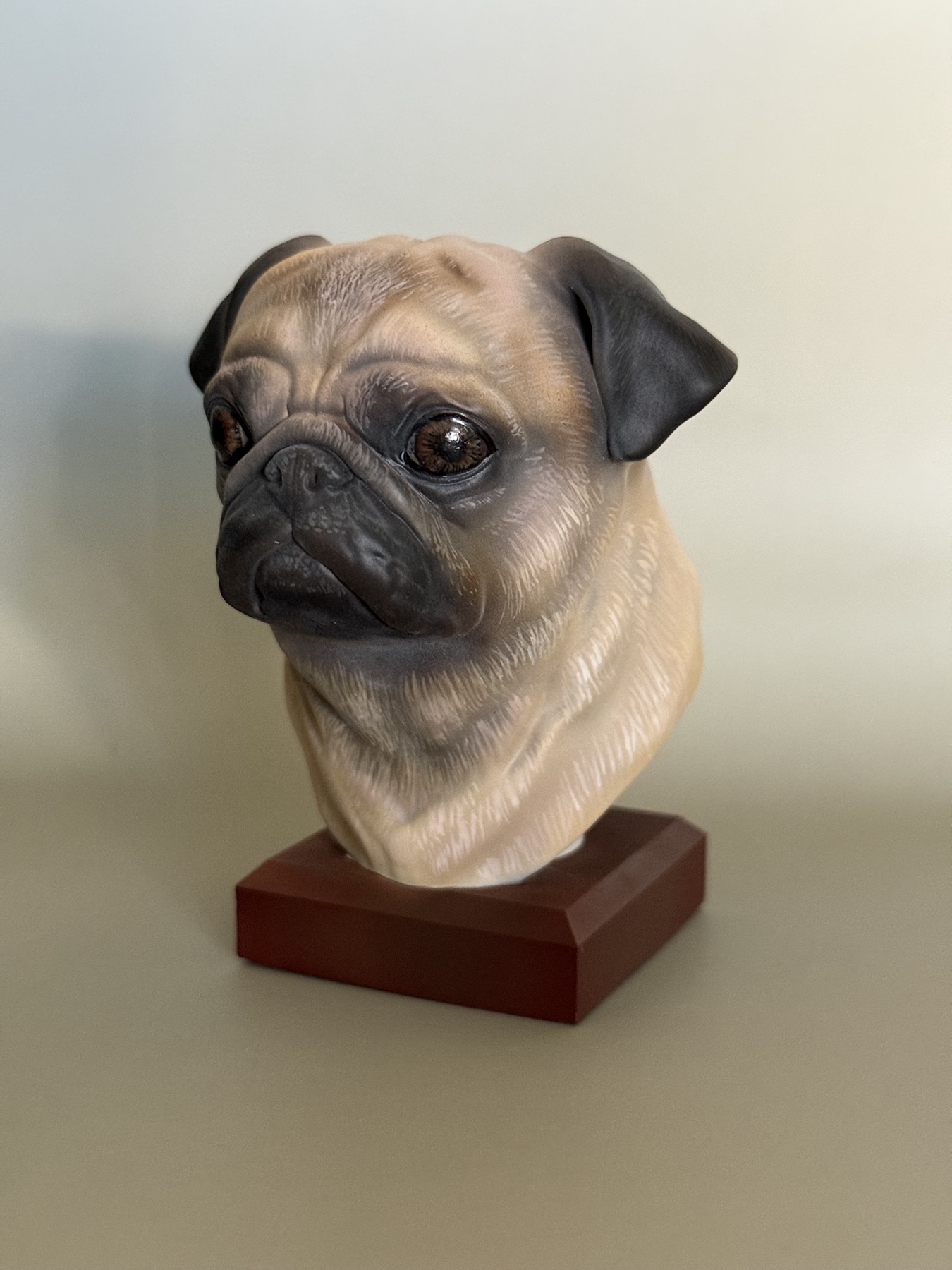 Pug bust, three-quarter view